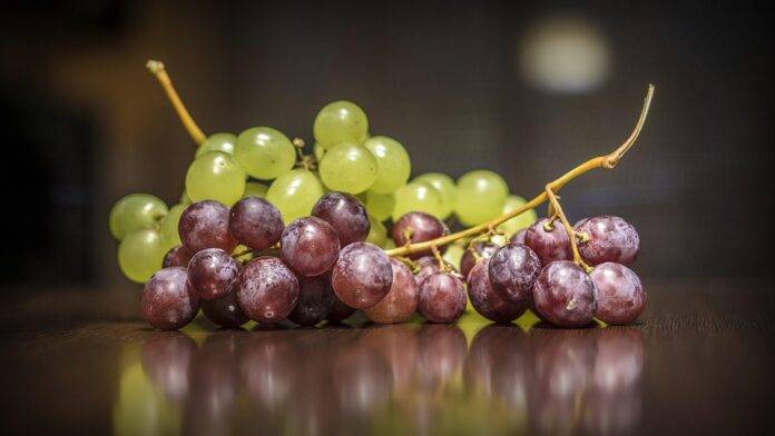 Why winemakers are refining techniques to elevate sweet still wines