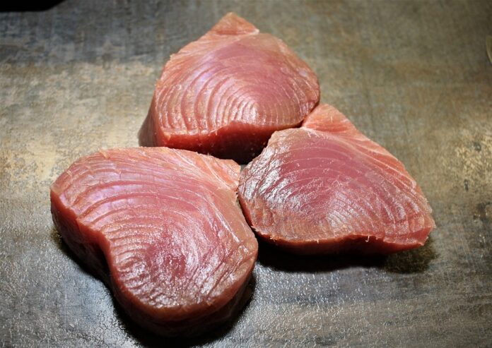 Wild-Caught vs Farmed Tuna Which Model Is More Sustainable and Profitable?