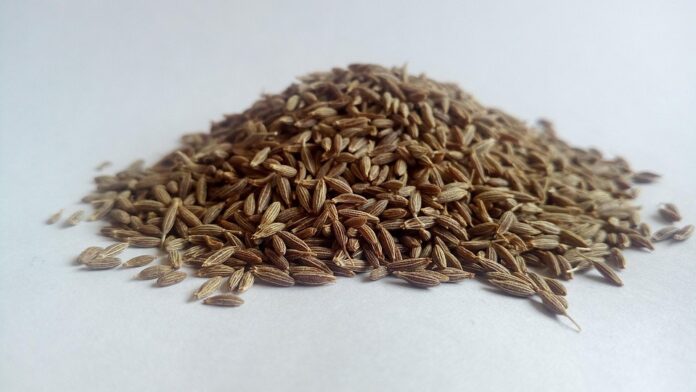 ​
datainsightsmarket.com
+3
tourism.rajasthan.gov.in
+3
verifiedmarketresearch.com
+3
How Global Supply Chain Disruptions Are Impacting Cumin Availability