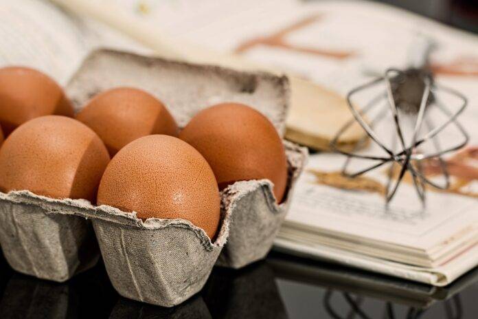 Automated Egg Grading and Packaging Technology Innovations