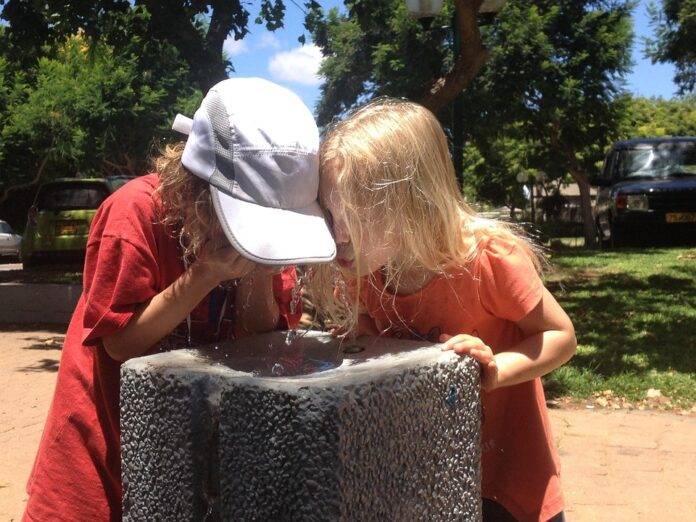 How fruit based drinks for kids are shifting toward lower calorie options