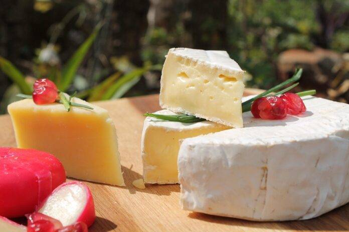 Private Label vs. Branded Dairy Products in Retail Channels Worldwide