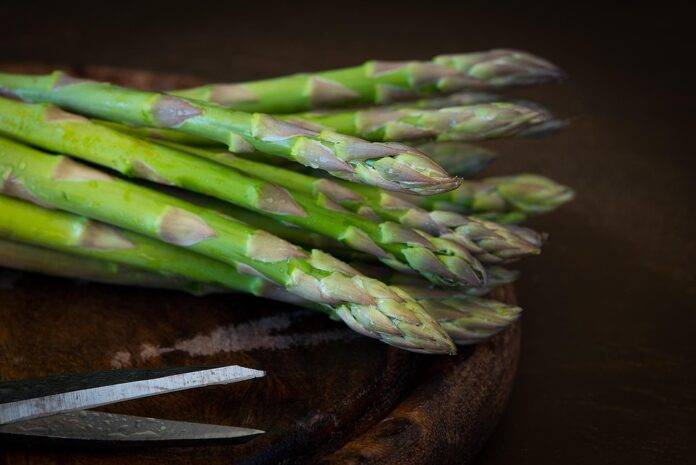 The top 10 asparagus brands and processors in Europe