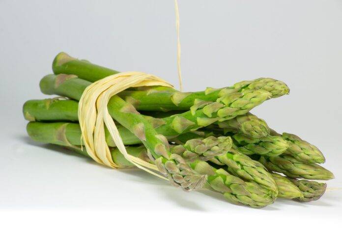 The top 10 asparagus exporting companies in France