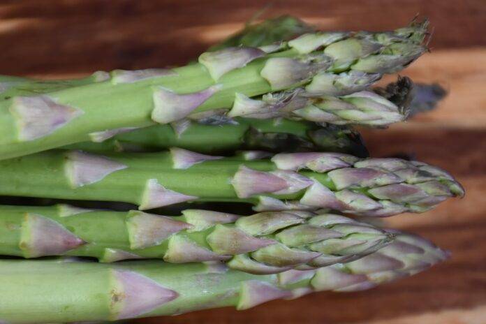 The top 10 asparagus importing companies in the United Kingdom
