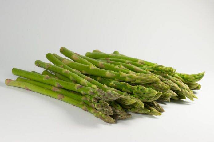 The top 10 asparagus importing countries in Europe