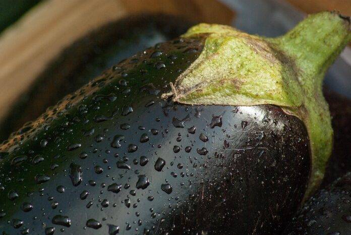 The top 10 aubergine exporting companies in Italy