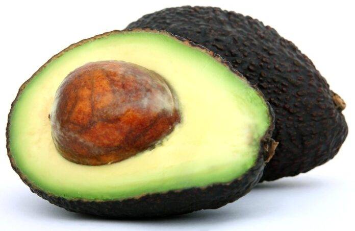 The top 10 avocado exporting companies in the United States