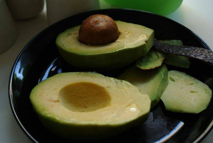 The top 10 avocado exporting countries in Africa