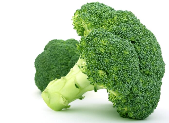 The top 10 broccoli brands in Spain