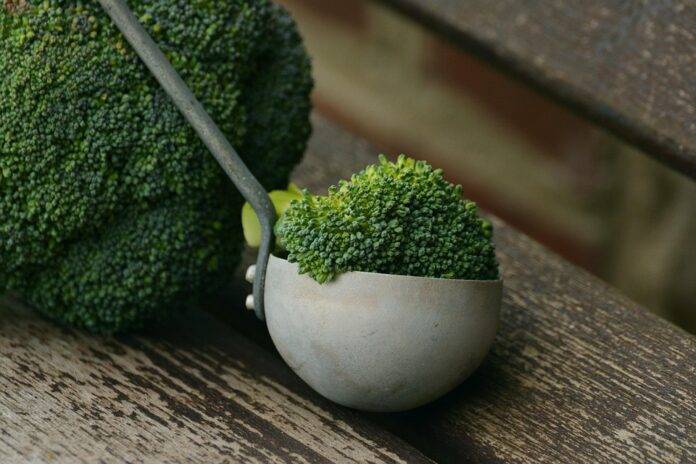 The top 10 broccoli exporting countries in the world
