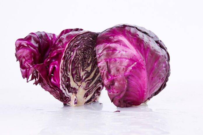 The top 10 cabbage exporting companies in Spain