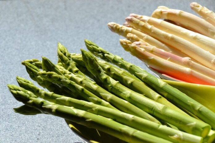 The top 10 canned asparagus brands in global retail
