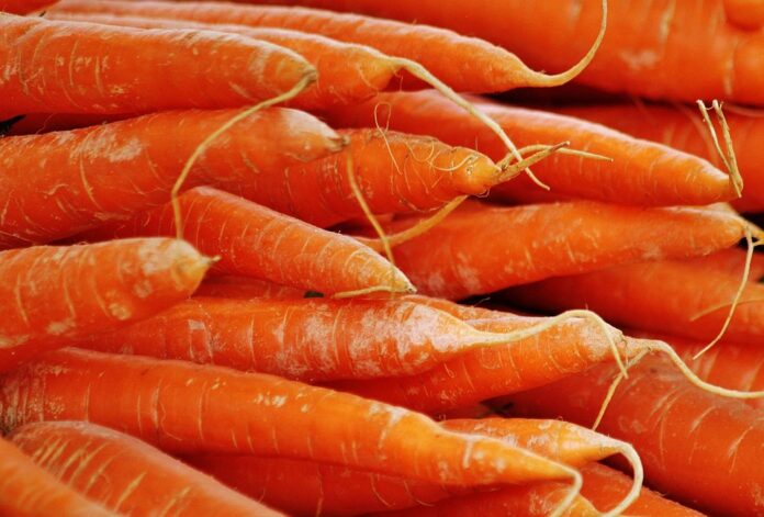 The top 10 carrot exporting countries in Europe