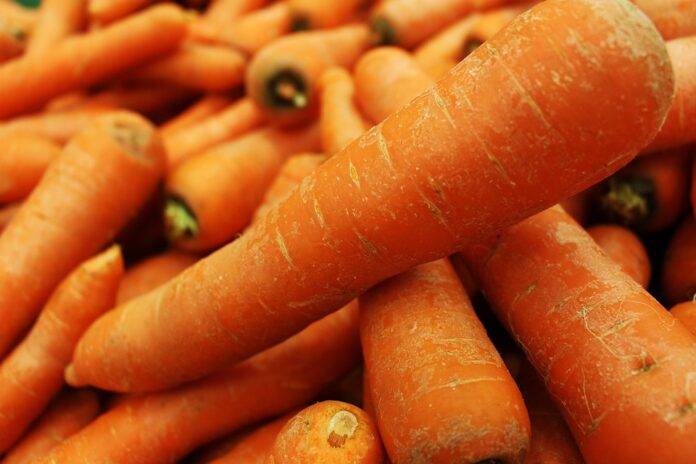 The top 10 carrot importing companies in the Netherlands
