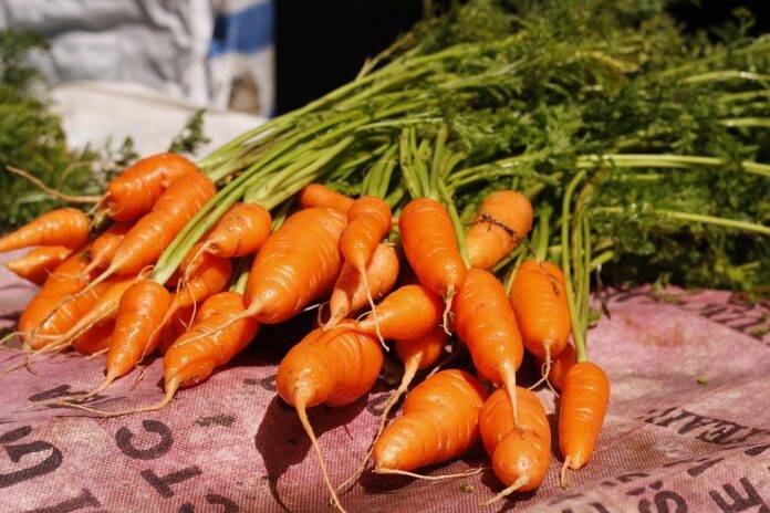 The top 10 carrot importing countries in the world