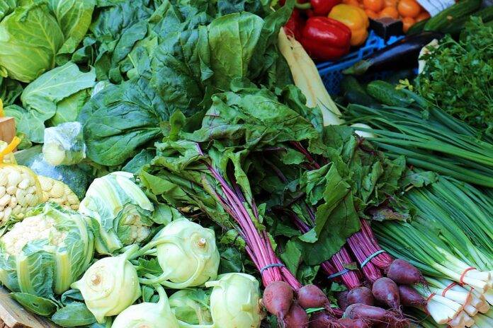 The top 10 cauliflower exporting companies in Egypt