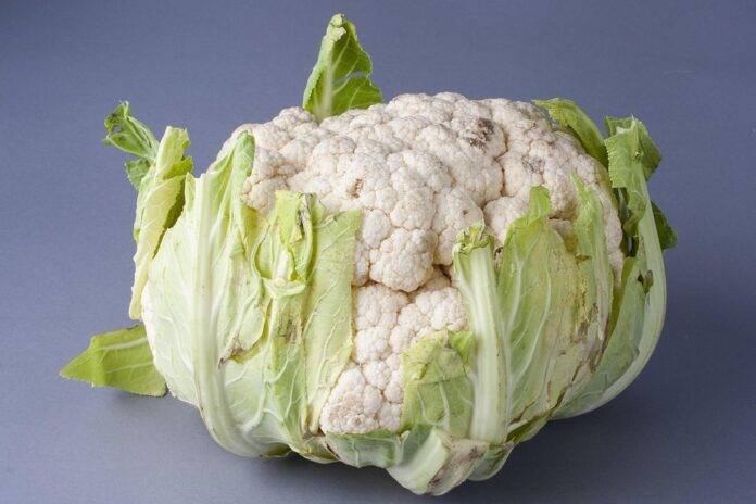 The top 10 cauliflower exporting companies in Italy