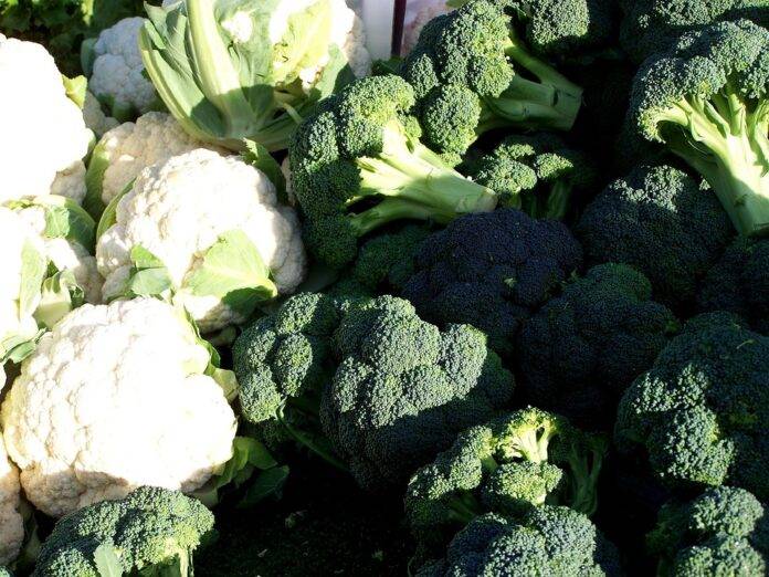 The top 10 cauliflower importing companies in Singapore