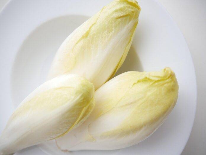 The top 10 chicory importing countries in Asia