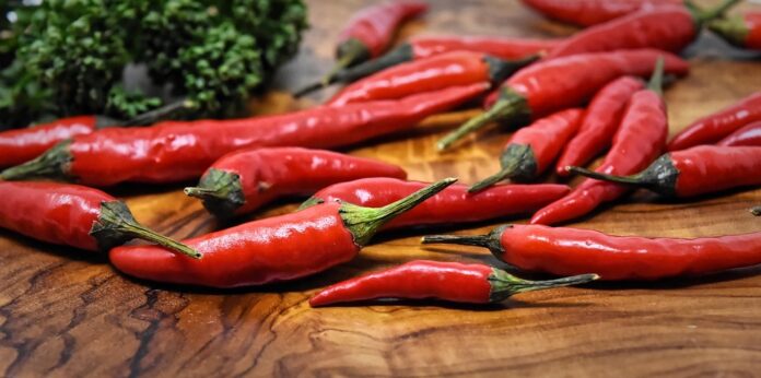 The top 10 chili exporting companies in India