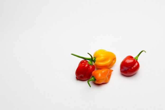 The top 10 chili exporting countries in Latin America
