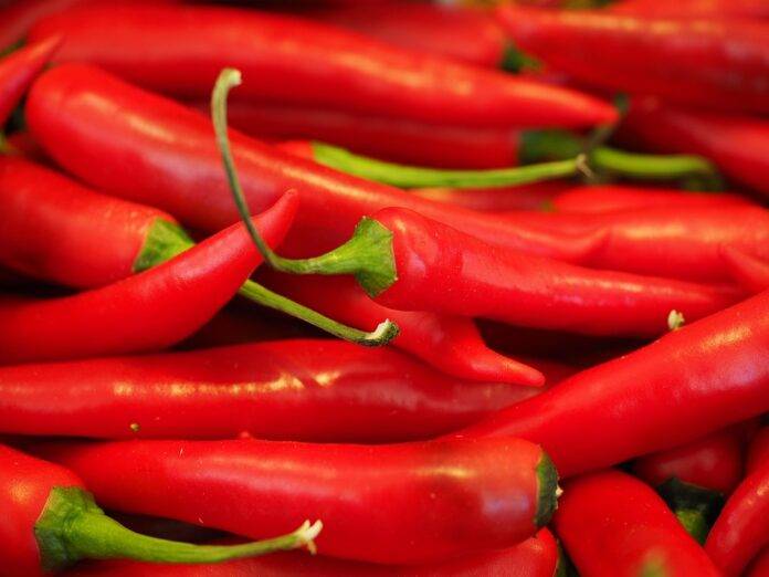 The top 10 chili importing companies in the Netherlands