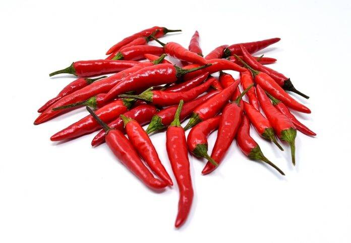 The top 10 chili importing companies in the United Arab Emirates