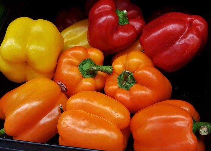 The top 10 chili pepper exporting countries worldwide