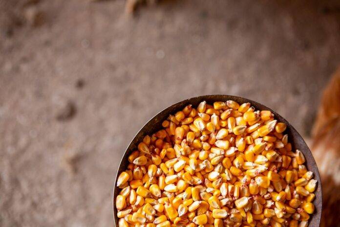 The top 10 corn importing companies in Saudi Arabia