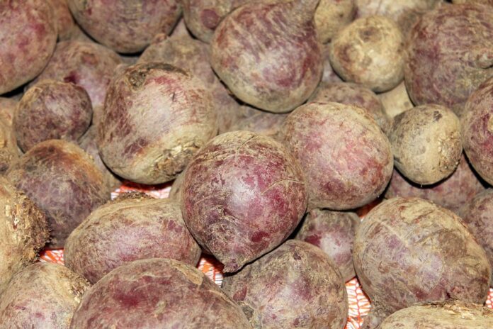 The top 10 countries increasing turnip imports year over year