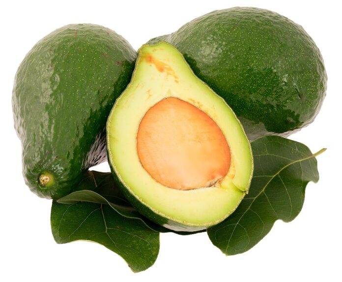 The top 10 countries supplying fresh and processed avocados worldwide
