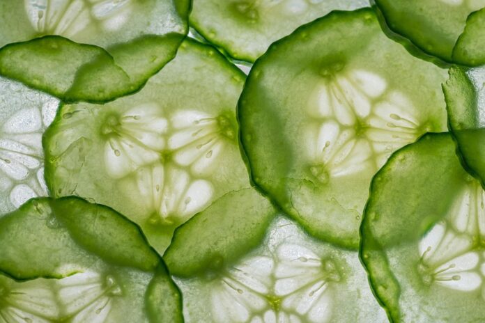 The top 10 cucumber growing regions in Iran