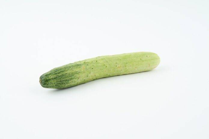 The top 10 cucumber importers for retail and foodservice in Germany