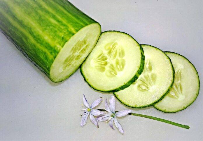 The top 10 cucumber importing companies in Saudi Arabia