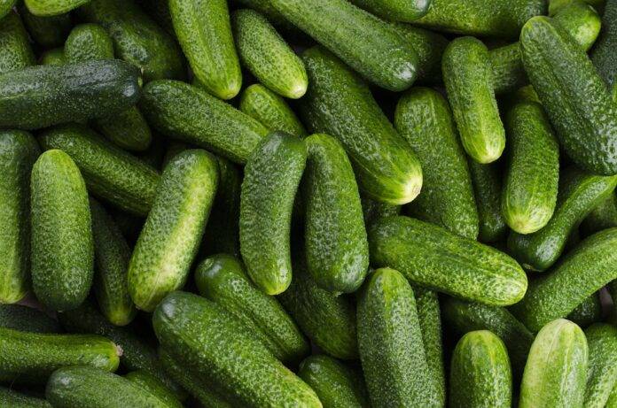 The top 10 cucumber producing companies in Japan