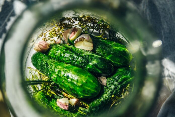 The top 10 cucumber producing companies in Turkey