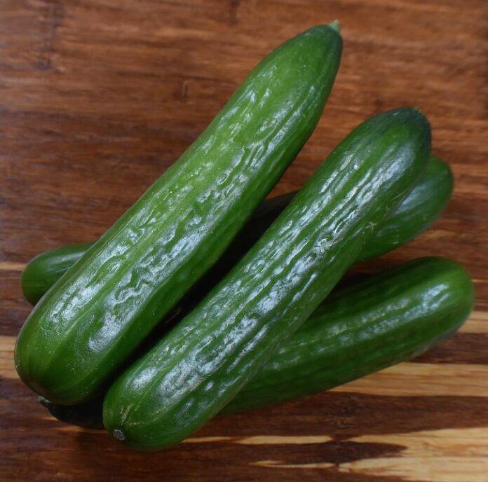 The top 10 cucumber producing regions in Spain