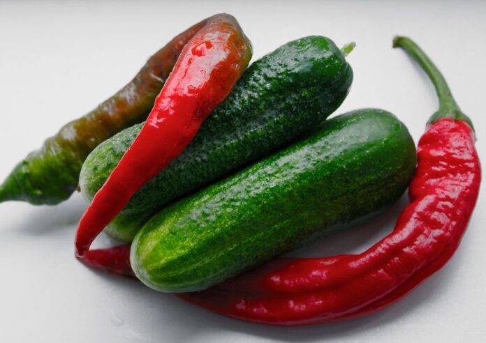 The top 10 cucumber wholesalers and distribution companies in France