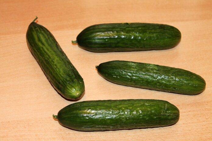 The top 10 cucumber wholesalers in the United Kingdom