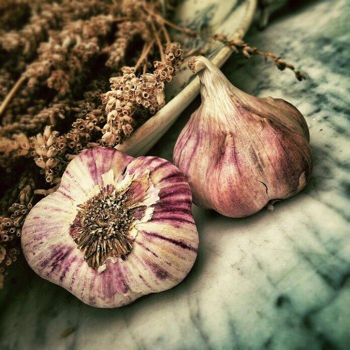 The top 10 dried garlic and garlic powder brands globally