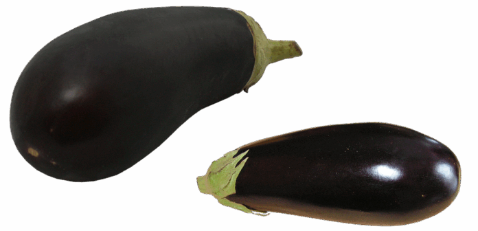 The top 10 eggplant exporting companies in the Netherlands