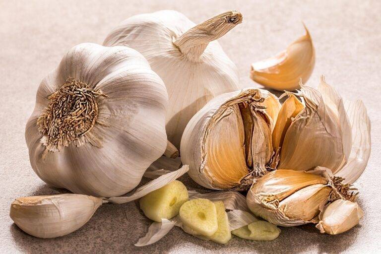 The top 10 garlic exporting companies in Uzbekistan The top 10 garlic exporting companies in Uzbekistan
