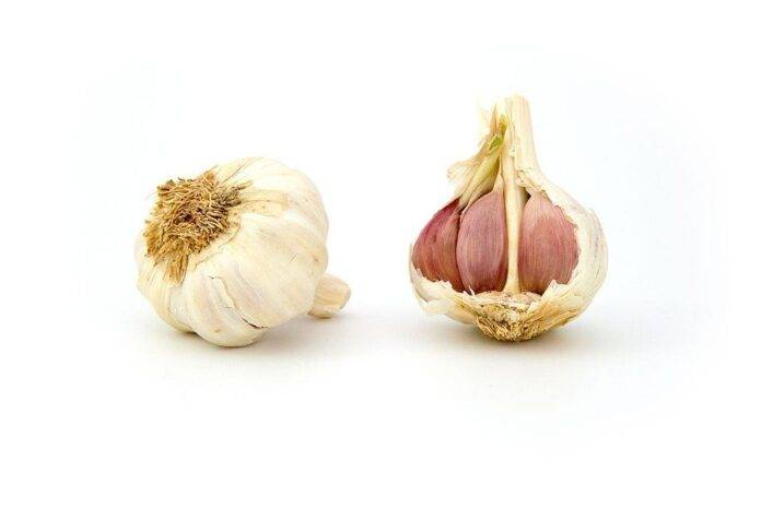 The top 10 garlic exporting companies in the Netherlands