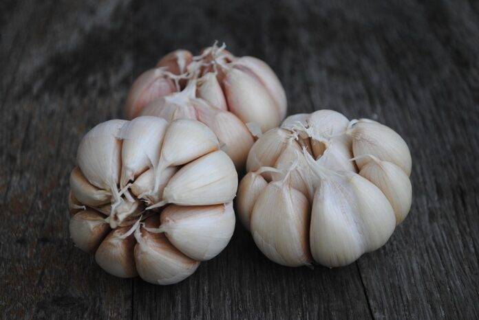 The top 10 garlic importing companies in Canada