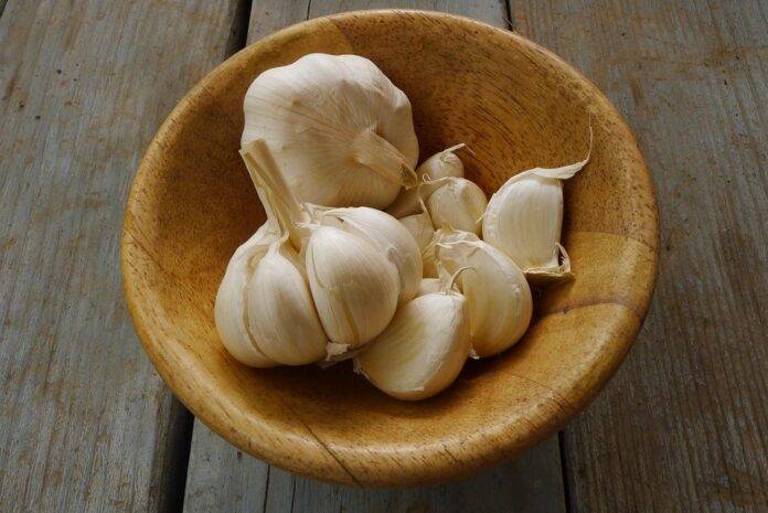 The top 10 garlic importing companies in Germany