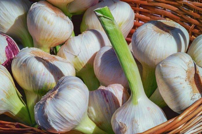 The top 10 garlic importing companies in Japan