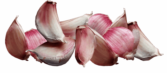 The top 10 garlic importing companies in the United States