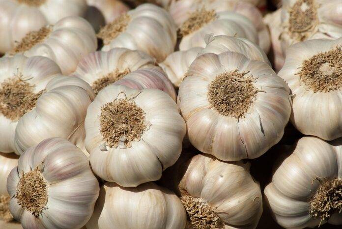 The top 10 garlic importing countries in the Middle East