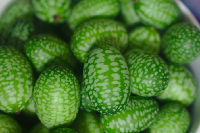 The top 10 gherkin importing companies in Canada